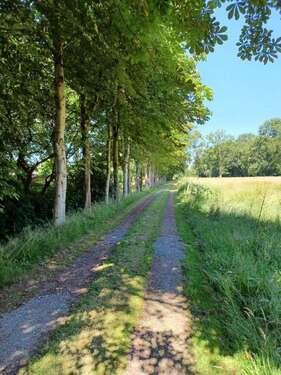 Foto - Haus zum Kaufen in Westoverledingen 110.000,00 € 78 m²