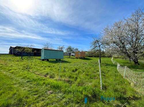 Foto - Spezialgewerbe in Bad Soden am Taunus Altenhain 49.000,00 € 1760 m²