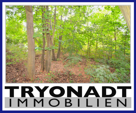 Foto - Grundstück zu verkaufen in Woltersdorf 250.000,00 € 817 m²
