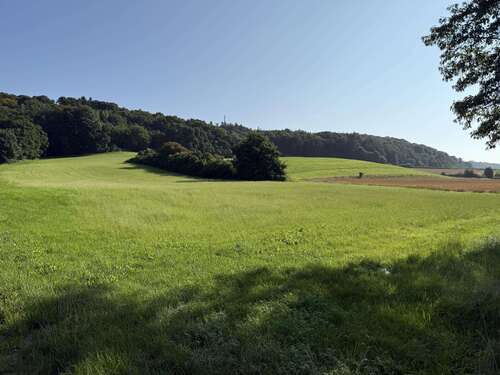 Foto - Grundstück in Zusmarshausen 159.000,00 € 26100 m²