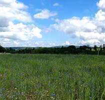 Grundstück zu verkaufen in AuerbachVogtland 105.975,00 € 785 m² - Auerbach/Vogtland