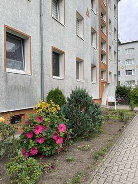 Foto - Wohnung zum Mieten in Lindow 593,00 € 79 m²