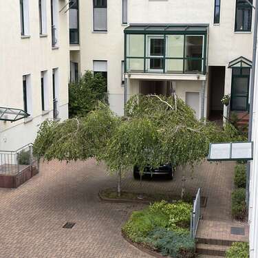Foto - Wohnung zum Mieten in Magdeburg 590,00 € 78.48 m²