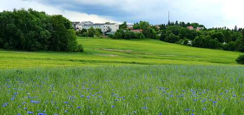 Foto - Grundstück zu verkaufen in AuerbachVogtland 78.520,00 € 604 m²