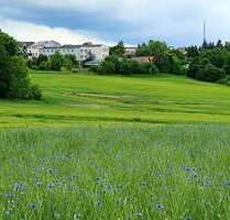 Grundstück zu verkaufen in AuerbachVogtland 78.520,00 € 604 m² - Auerbach/Vogtland