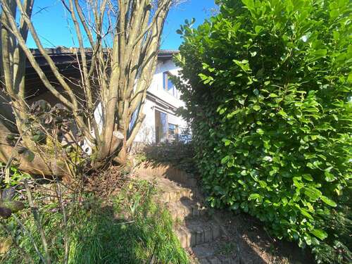 Foto - Haus zum Kaufen in Reinheim 565.000,00 € 150 m²