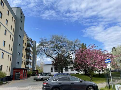 Foto - Wohnung zum Mieten in Magdeburg 666,00 € 74 m²