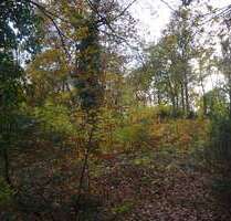 Grundstück zu verkaufen in Schönwalde-Glien 330.000,00 € 921 m²