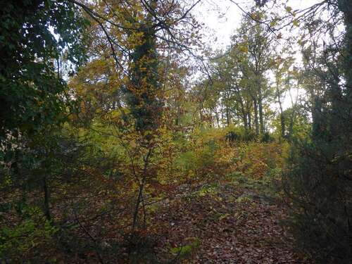 Foto - Grundstück zu verkaufen in Schönwalde-Glien 295.000,00 € 921 m²