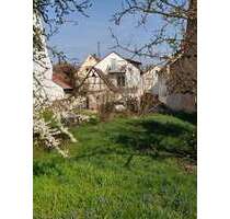 Haus zum Kaufen in Freisbach 625.000,00 € 280 m²