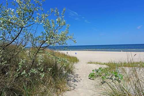 Foto - Haus zum Kaufen in Trassenheide Bannemin 1.350.000,00 € 340 m²