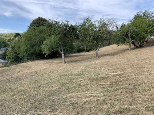 Foto - Grundstück zu verkaufen in Schmitten-Arnoldshain 150.000,00 € 740 m²