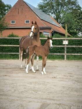 Foto - Spezialgewerbe in Isterberg 875.000,00 € 21000 m²