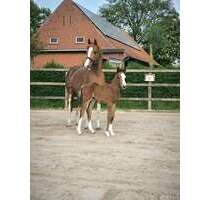 Spezialgewerbe in Isterberg 875.000,00 € 21000 m²