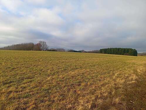 Foto - Grundstück in Mainburg 100.000,00 € 20000 m²