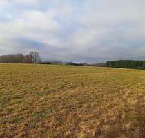 Grundstück in Mainburg 100.000,00 € 20000 m²