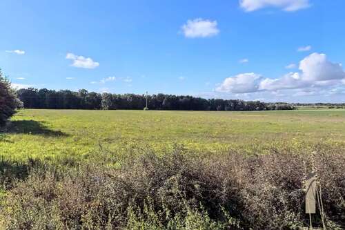 Foto - Grundstück zu verkaufen in Osloß 201.000,00 € 804 m²