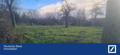 Foto - Grundstück zu verkaufen in Lutherstadt Eisleben 65.000,00 € 1730 m²