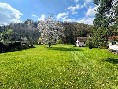 Foto - Grundstück zu verkaufen in Wald-Michelbach Kreidach 99.000,00 € 785 m²