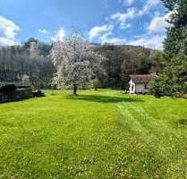 Grundstück zu verkaufen in Wald-Michelbach Kreidach 99.000,00 € 785 m² - Wald-Michelbach / Kreidach