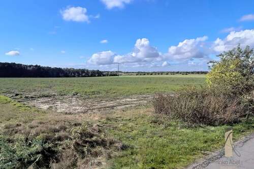 Foto - Grundstück zu verkaufen in Osloß 193.800,00 € 646 m²