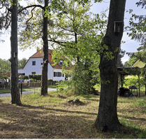 Grundstück zu verkaufen in Stahnsdorf 399.000,00 € 602 m² Grundstück zu verkaufen in Stahnsdorf 399.000,00 € 602 m²