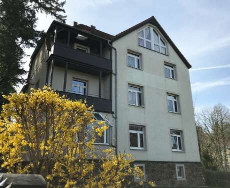 Foto - Wohnung zum Mieten in Dresden 470,00 € 53.5 m²