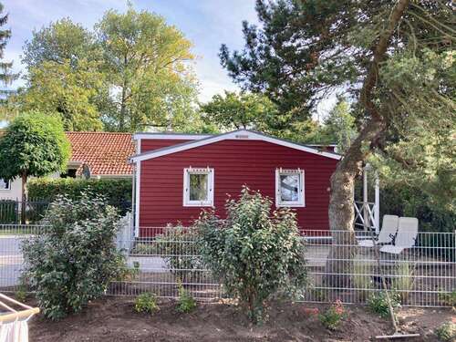 Foto - Wohnen auf Zeit in Heringsdorf 650,00 €