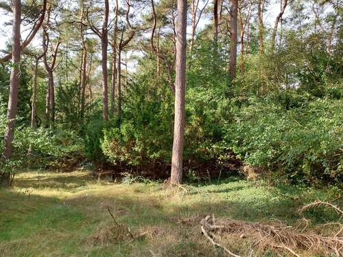 Foto - Grundstück zu verkaufen in Seevetal - Ramelsloh 798.000,00 € 3400 m²