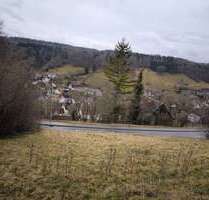 Grundstück zu verkaufen in Horb am Neckar 98.000,00 € 1176 m²
