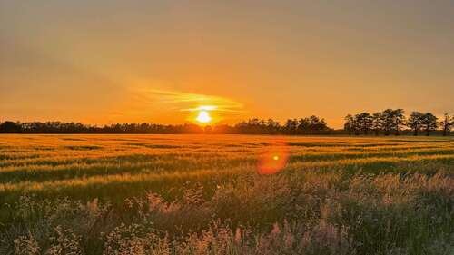 Foto - Grundstück zu verkaufen in Winsen (Luhe) 229.000,00 € 570 m²