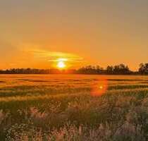 Grundstück zu verkaufen in Winsen (Luhe) 229.000,00 € 570 m²