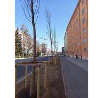 Wohnung zum Kaufen in München 766.500,00 € 70 m²