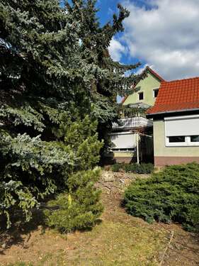 Foto - Haus zum Kaufen in coswig 269.000,00 € 170 m²