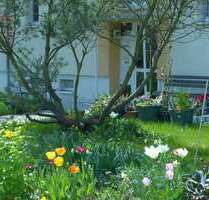 Wohnung zum Mieten in Borna 318,00 € 47.98 m²