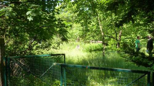 Foto - Grundstück zu verkaufen in Erkner 320.000,00 € 880 m²