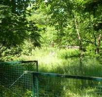 Grundstück zu verkaufen in Erkner 320.000,00 € 880 m²