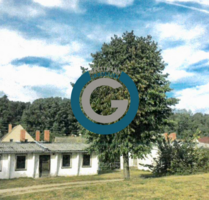 Haus zum Kaufen in Neuhardenberg 490.000,00 € 465 m²