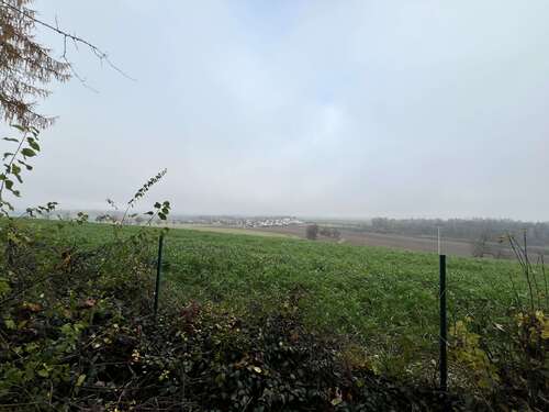 Foto - Haus zum Kaufen in Pettendorf 598.000,00 € 300 m²