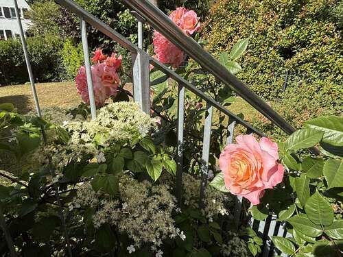 Foto - Wohnung zum Mieten in Hofheim am Taunus 1.380,00 € 76 m²