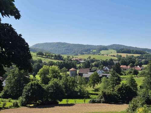 Foto - Haus zum Kaufen in Reichelsheim Klein Gumpen 930.000,00 € 505.2 m²