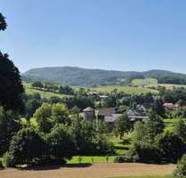 Haus zum Kaufen in Reichelsheim Klein Gumpen 930.000,00 € 505.2 m² - Reichelsheim /Klein Gumpen