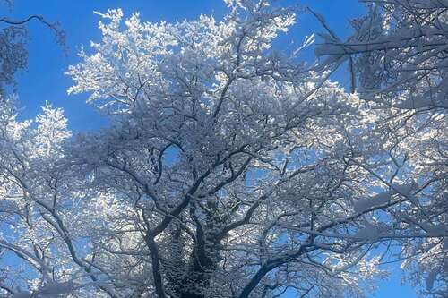 Foto - Wohnung zum Mieten in Henstedt-Ulzburg 2.400,00 € 197 m²