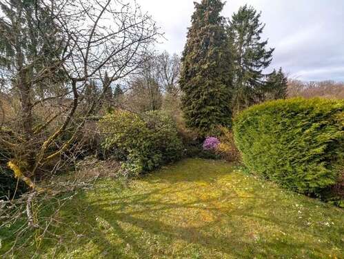 Foto - Grundstück zu verkaufen in Wiesbaden 850.000,00 € 600 m²