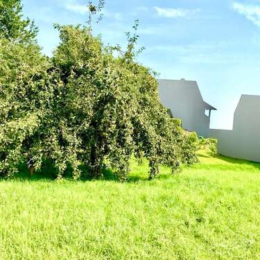 Foto - Grundstück zu verkaufen in Viereth-Trunstadt 155.000,00 € 638 m²