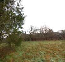 Grundstück zu verkaufen in Eberbach 150.000,00 € 1589 m²