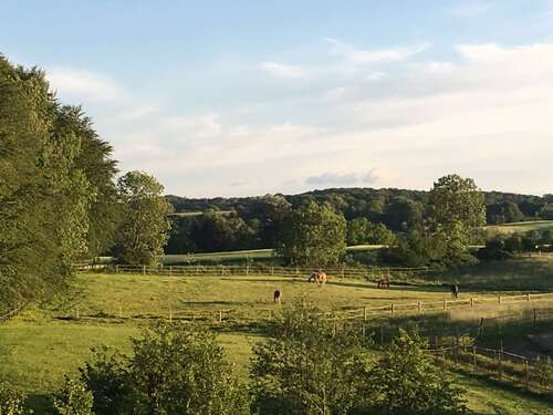 Foto - Spezialgewerbe in Schwerin 4.950.000,00 €