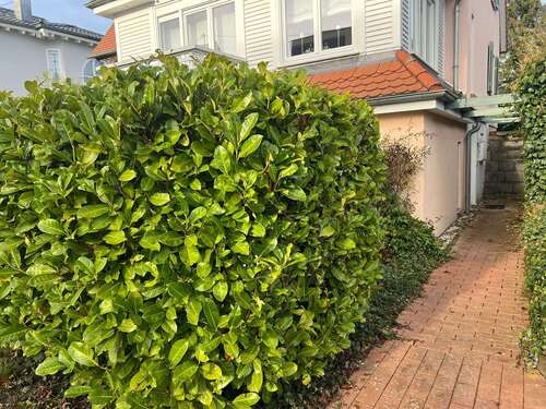 Foto - Wohnung zum Mieten in Wiesbaden 1.250,00 € 50 m²