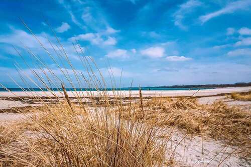 Foto - Haus zum Kaufen in Nordwestmecklenburg - Landkreis - Dassow 1.800.000,00 € 720 m²