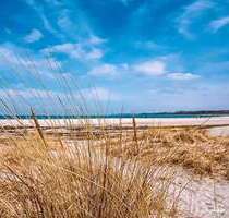 Haus zum Kaufen in Nordwestmecklenburg - Landkreis - Dassow 1.800.000,00 € 720 m²